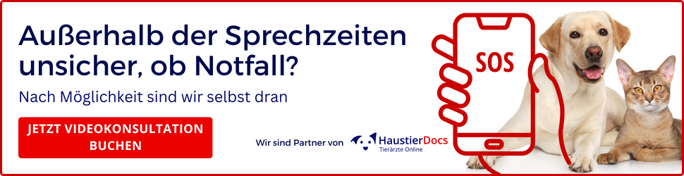 notdienst_haustierDocs_banner